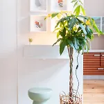 דירה Duplex Au Coeur Du Vieux *