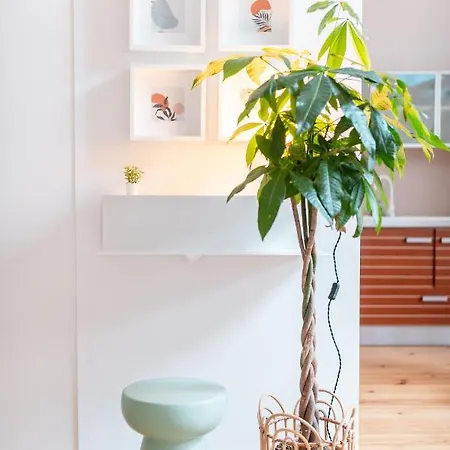 Апартаменты Duplex Au Coeur Du Vieux *